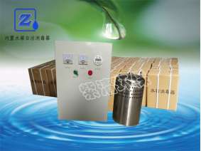 WTS-2B水體凈化水箱自潔消毒器